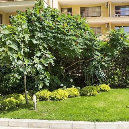 Ξενοδοχείο Darius Hstl