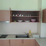 Darius Hstl ساني بيتش