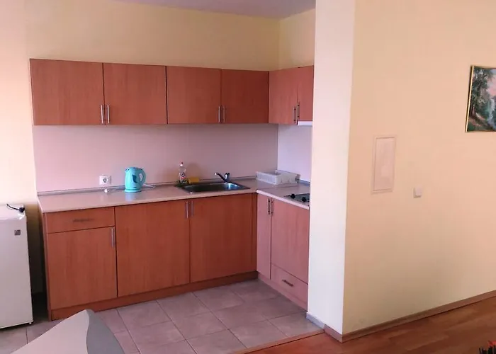 Hotell Darius Hstl Slăntjev Brjag